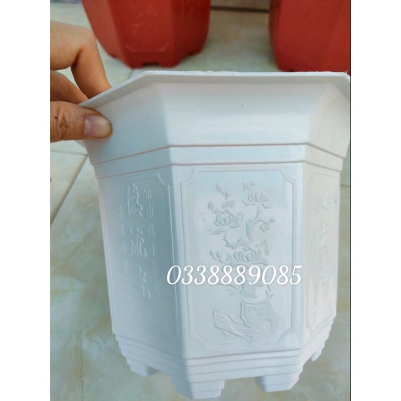Chậu nhựa bát giác(220-310) trồng cây, hàng dày, đẹp, đủ màu, đủ size, hàng sẵn kho