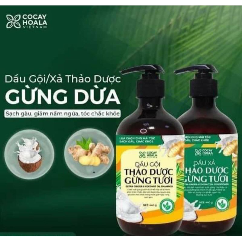 Dầu Gội + Xả Gừng Dừa mini