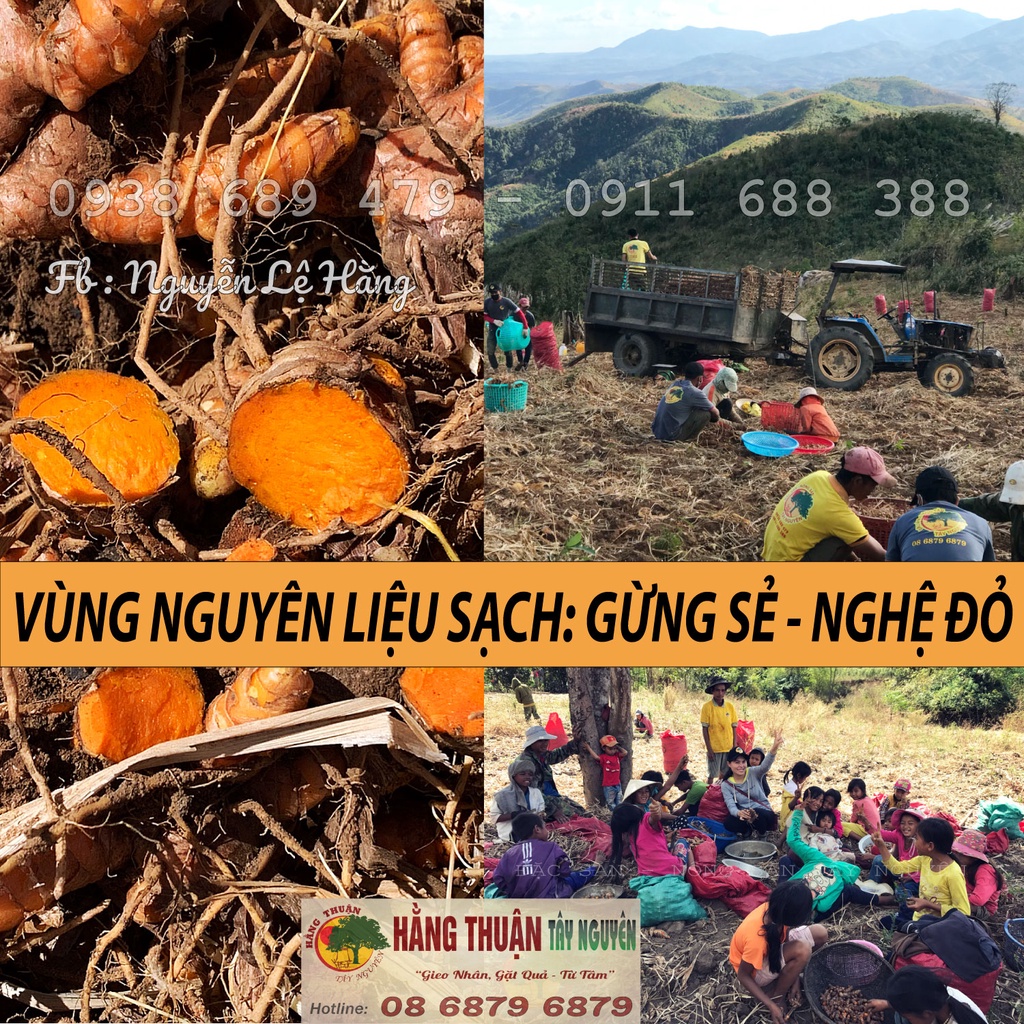 Cốt Nghệ Gấc Hạ Thổ Bôi Mặt Sau Sinh Hằng Thuận Tây Nguyên - ĐẸP DA - SẠCH MỤN - MỜ THÂM NÁM