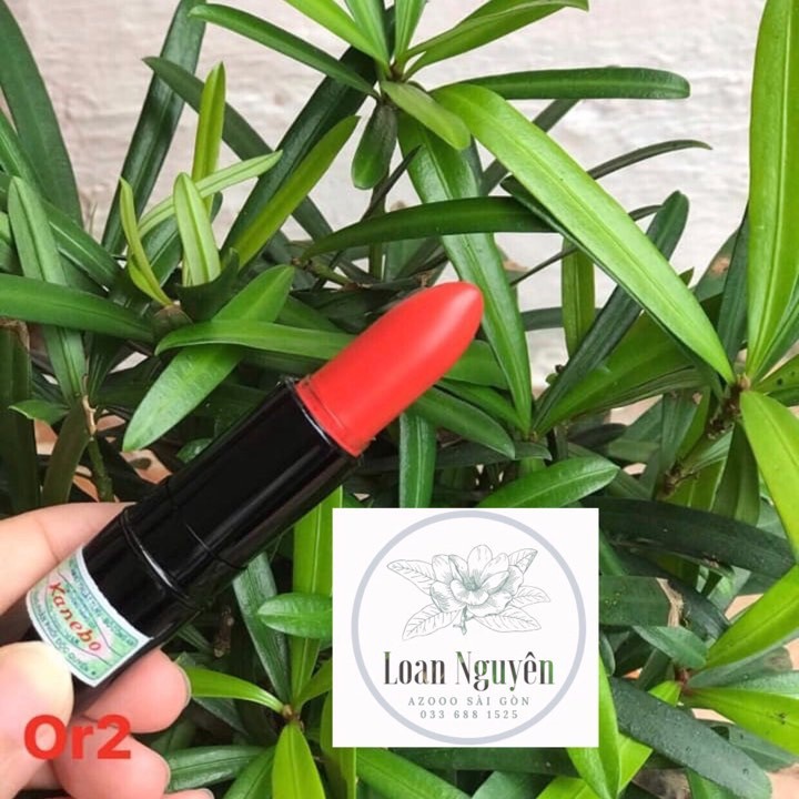 Son Lì- Son môi lì Nhật Bản lâu trôi Kanebo Kate [CÓ TEM CHỐNG HÀNG GIẢ] | BigBuy360 - bigbuy360.vn
