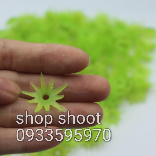 ĐÀI GẮN HOA CÚC