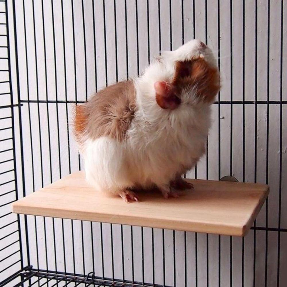 AARON1 Giá Đỡ Đứng Bằng Gỗ Tiện Dụng Cho Hamster / Sóc / Chuột Hamster