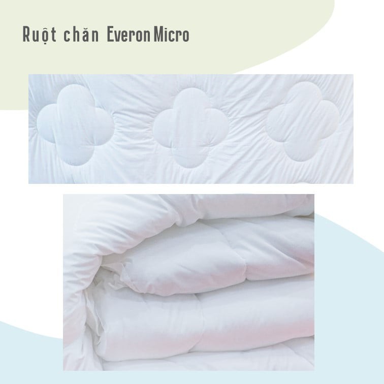 [EVERON] Ruột Chăn Cao Cấp MICRO