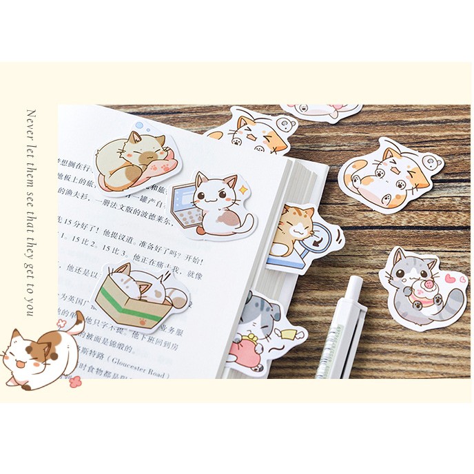 Hộp 45 miếng sticker mẫu những bé mèo siêu đáng yêu