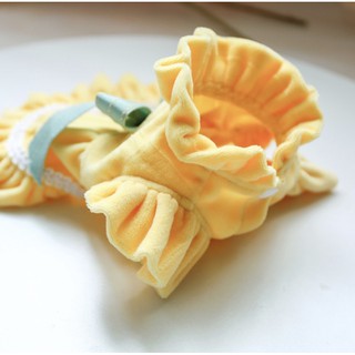 Đầm công chúa cho thú cưng