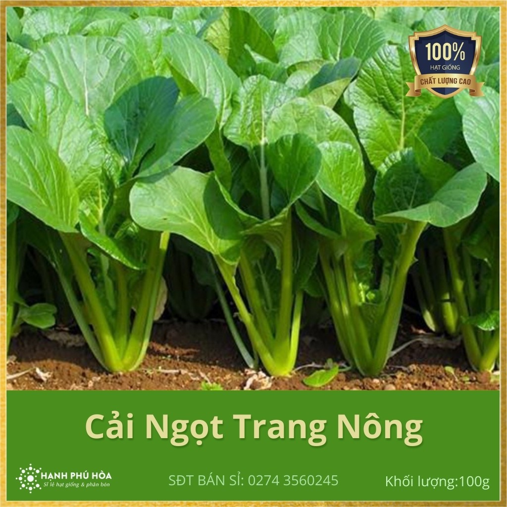 Hạt Giống Cải Ngọt Cao Cấp TN 100g/Gói  - Sinh Trưởng Manh, Kháng Bệnh Tốt, Trồng Quanh Năm, Lá Xanh Tươi, Ăn Ngon Ngọt