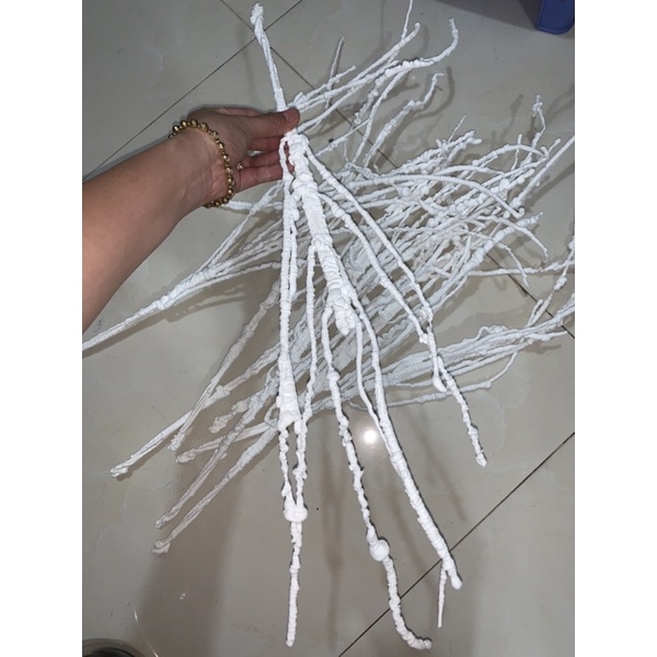Cành tuyết dẻo trắng trang trí