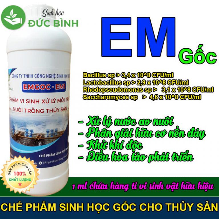 CHẾ PHẨM EM GỐC- EM1 DÙNG TRONG NUÔI TRỒNG THỦY SẢN, XỦ LÝ MÔI TRƯỜNG AO NUÔI TÔM ...