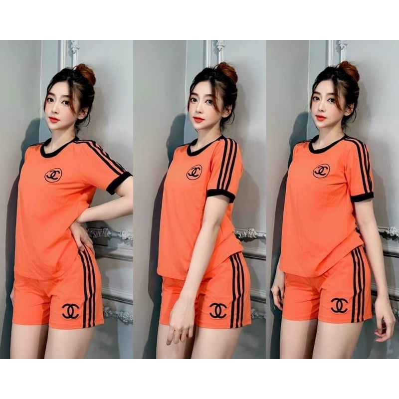 Đồ bộ thun cotton mặc nhà đồ bộ đẹp giá rẻ đồ bộ dễ thương đồ bộ quần đùi