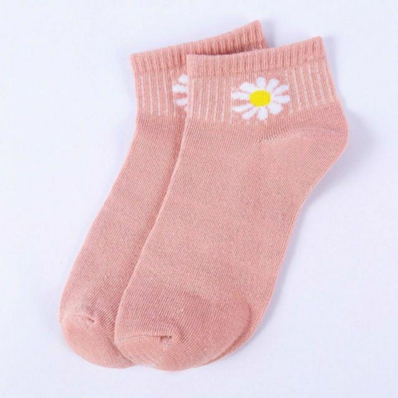 Combo 10 đôi tất hoa cúc hottrend có túi