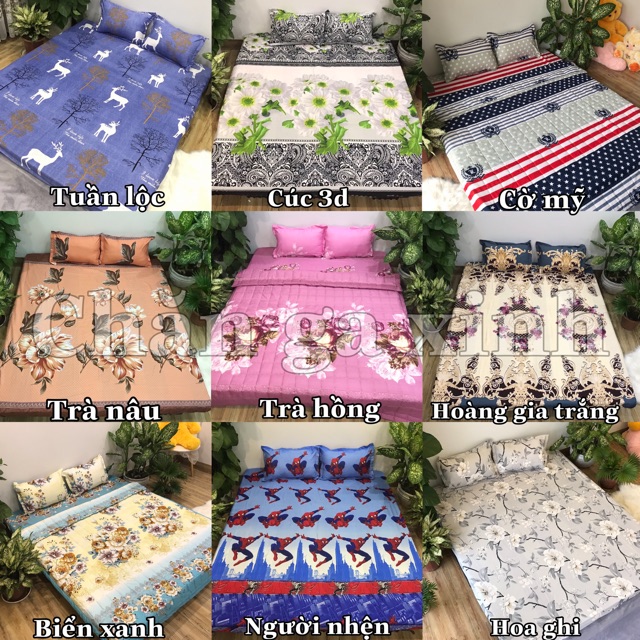 Bộ ga kèm đôi vỏ gối poly cotton siêu ngộ nghĩnh m6 hoặc m8 (được chọn mẫu) | BigBuy360 - bigbuy360.vn