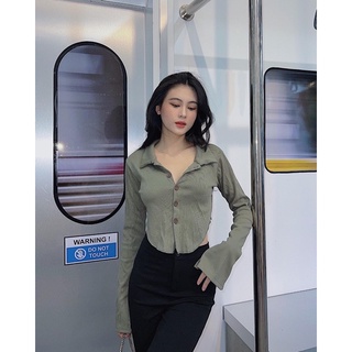 Polo croptop▪áo polo phối nút tay dài