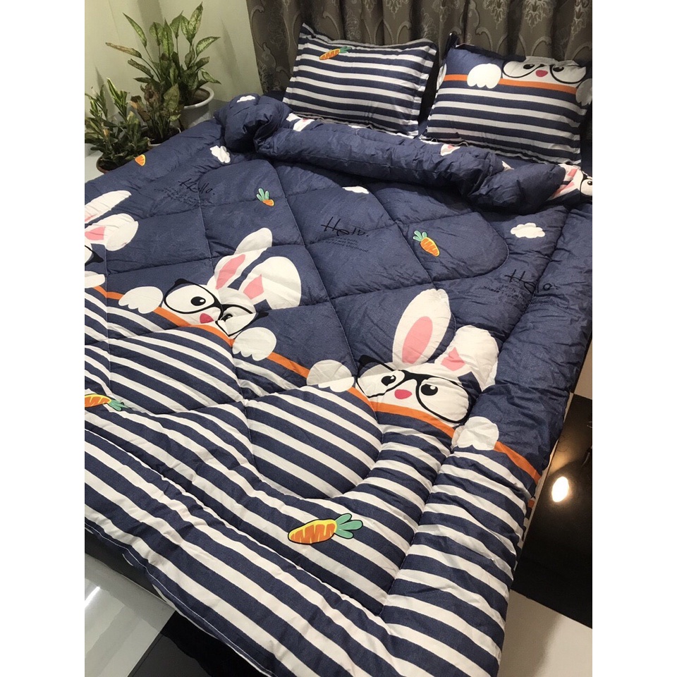Ga giường cotton 100%, ga gối cotton dày mát bo chun đủ kích thước