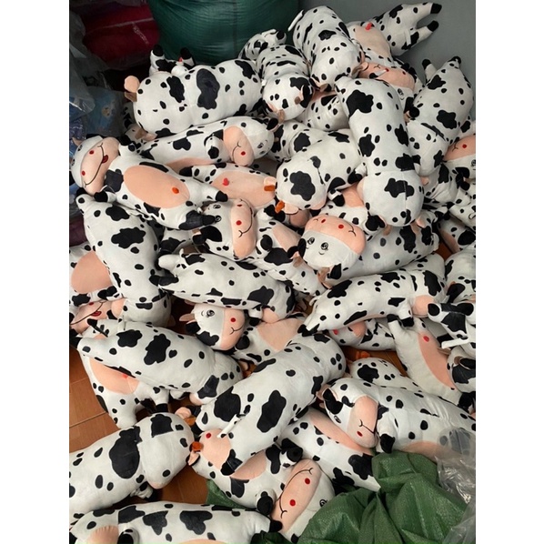 Gấu Bông Gối Ôm Bò Sữa Trắng Đủ Size