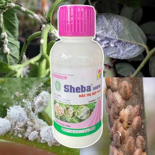 Thuốc Trừ Rệp Sáp, Rệp Vảy Sheba 50EW