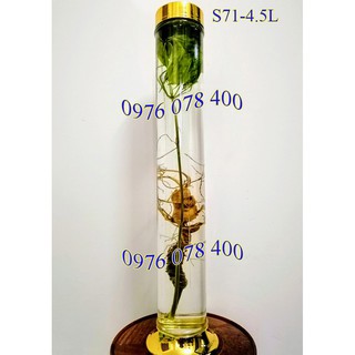 [ CHÍNH HÃNG ] Bình Ngâm Rượu Hàn Quốc 4.5 Lít Trụ , Bình Thuỷ Tinh Yongcheon, BHQ-71