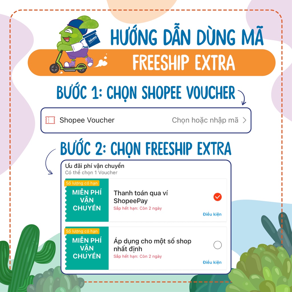 Xương rồng astro Đà Lạt size bé cây cảnh trang trí nhà cửa Lolita garden