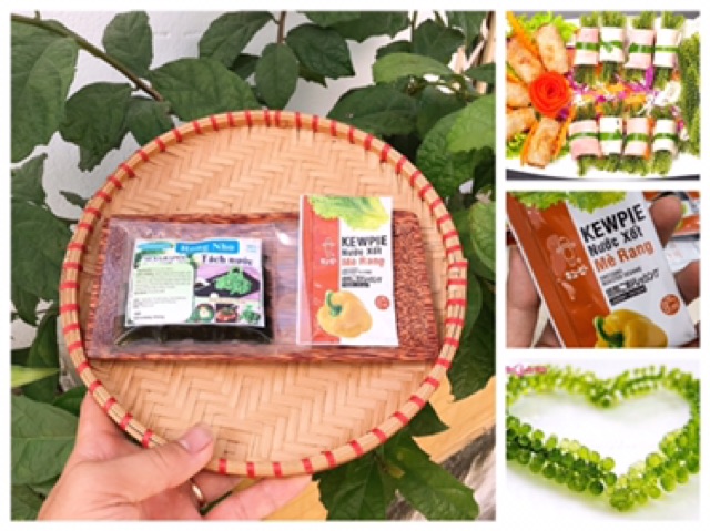 Rong nho tách nước gói 30gr. Nở ra gấp 3 lần rong nho tươi | BigBuy360 - bigbuy360.vn