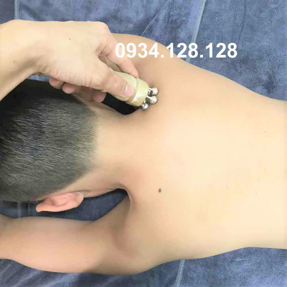 Cây hoa khế 5 chân bạc