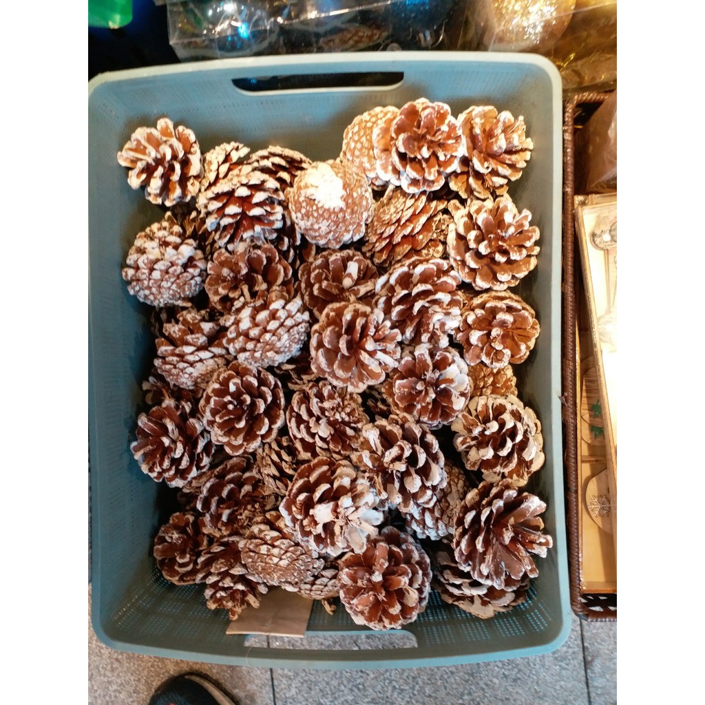 Quả Thông Trang Trí Noel