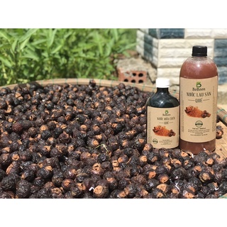 Nước rửa chén enzym bồ hòn Quế (Mẫu mới)