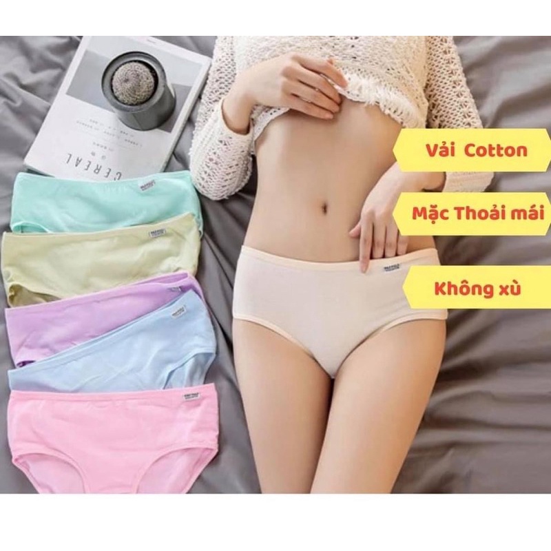 Quần lót nữ Cotton siêu đẹp, siêu mát xuất Mỹ