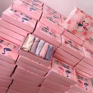 Hộp 5 quần chip cotton hạc
