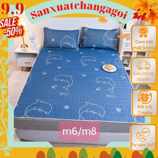 Chiếu điều hòa cao su non ga trải giường kèm 2 áo gối 1m6 1m8 2m2 hàng cao cấp