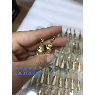 rắc loa bắp chuối Gole snake