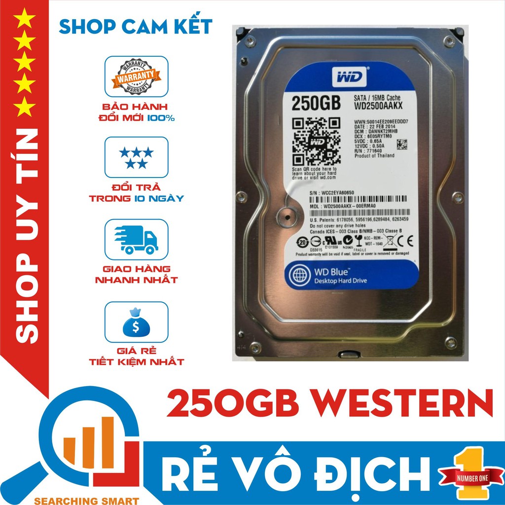 Ổ cứng HDD WD Western Digital 250GB 3.5" - Sata 3 - Bảo hành chính hãng 1 tháng