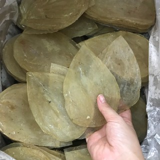 [ANMALL] KHÔ CÁ BÓNG BIỂN ÉP
