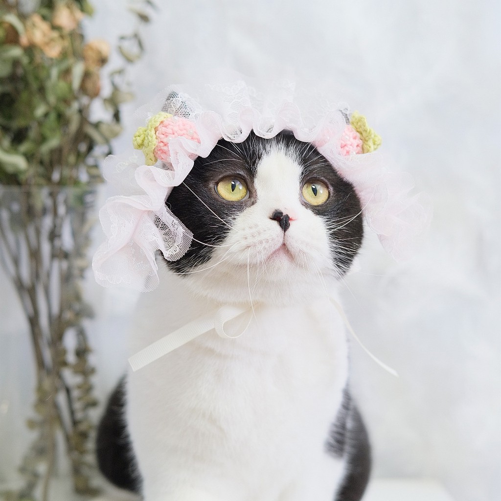 Mũ voan ren trái dâu CAMQUYTSTORE cho mèo