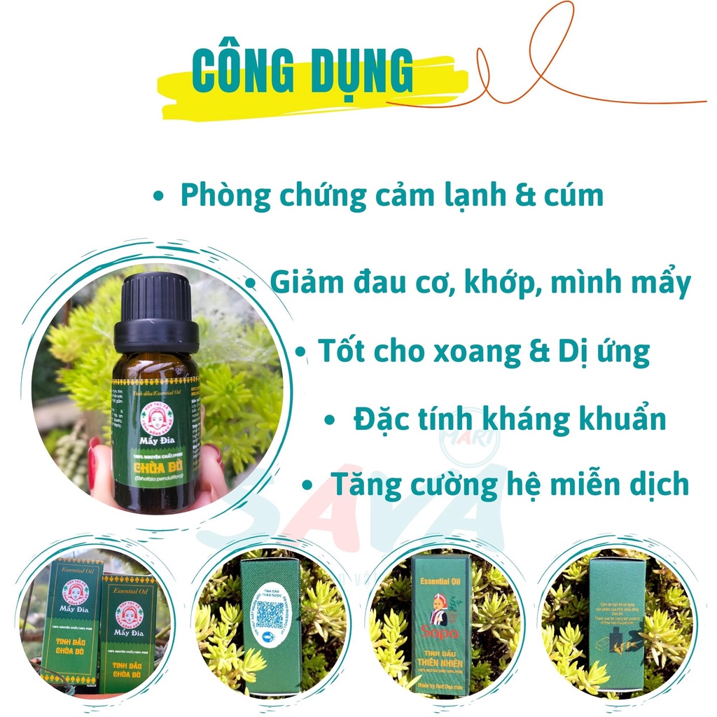 Tinh dầu Chùa Dù phòng cảm cùm 100% tiện dụng gia đình cần có