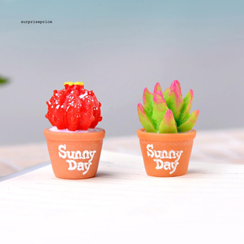 Bộ 2 mô hình cây xương rồng mini bằng nhựa chuyên dụng cho trang trí tiểu cảnh