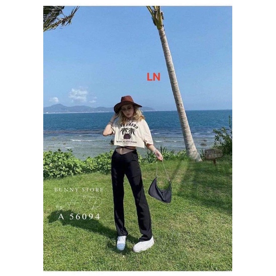 Áo croptop cây dừa Bee LN12