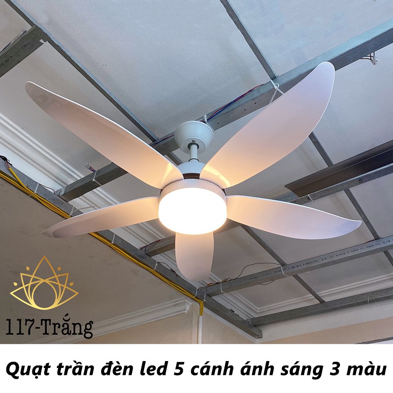 Quạt trần đèn 5 cánh điều khiển từ xa lắp đặt dễ dàng 6 cấp độ gió có chức năng đảo chiều kết hợp đèn LED 3 màu VT124