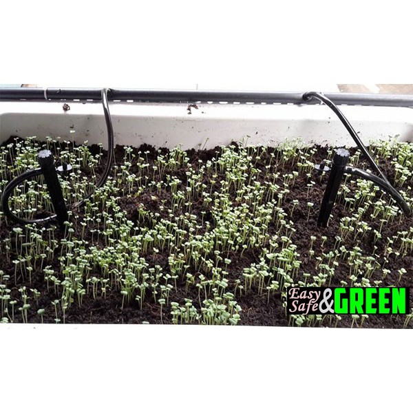 100 đầu tưới 8 tia có chân cắm cao 13cm