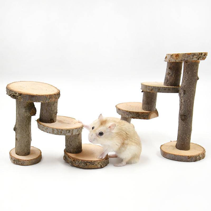 Đồ chơi thang leo bằng gỗ cho chuột Hamster