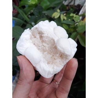 Bánh In Nhân Dừa Non/24 Viên