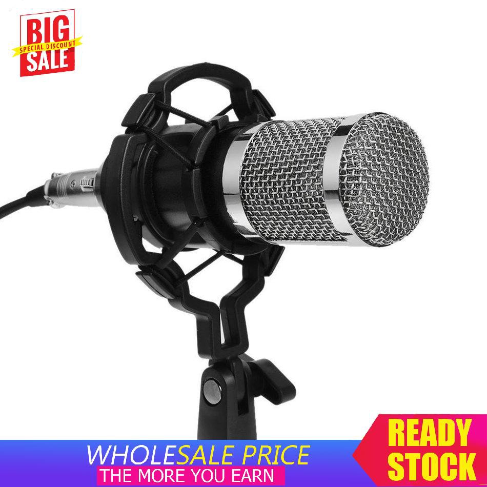 Bộ Micro Thu Âm Chuyên Nghiệp Bm800