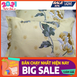 Xả kho combo 2 ruột kèm vỏ gối nằm