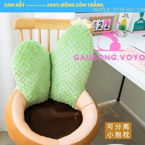 GHẾ BỆT XƯƠNG RỒNG - xương rồng xanh 🍃 Với nhiều công dụng : ngồi đọc sách,xem phim, decor phòng GAUBONG.VOYO