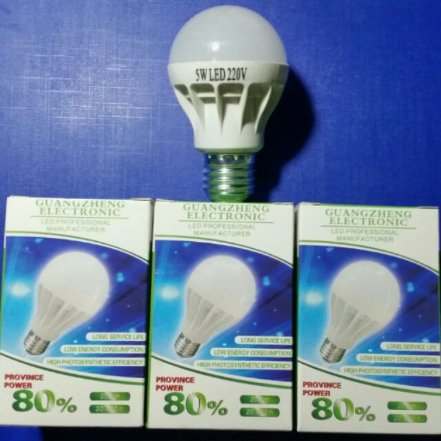 Bộ 2 Led búp 5wat sáng trắng