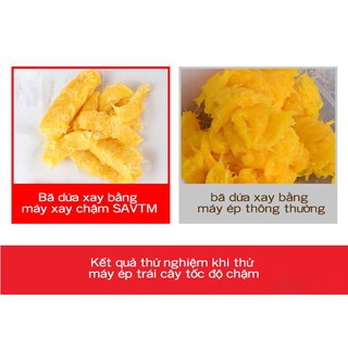 Máy ép trái cây củ quả tốc độ chậm B032