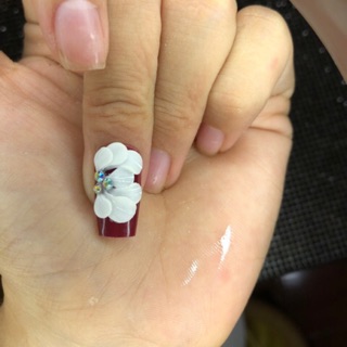 hoa bột nail