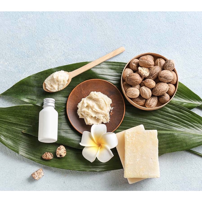 Bơ hạt mỡ Shea organic