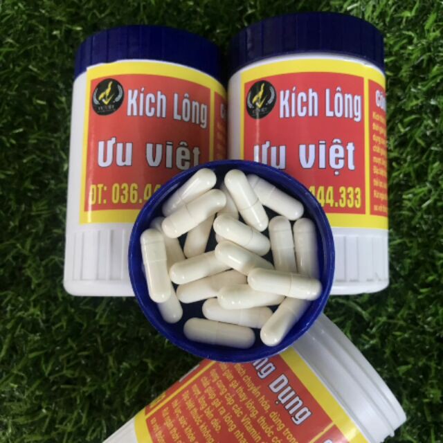 Th uốc kích lông Ưu Việt cho gà chọi