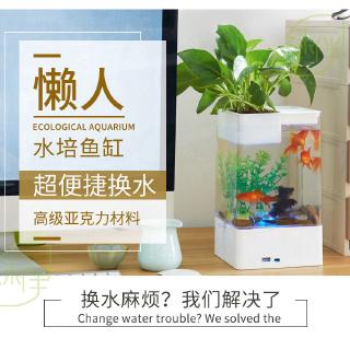 Bể cá cảnh mini tự thay nước tiện lợi