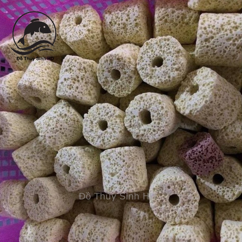 Sứ nhẫn vàng - Sứ Trụ Vàng - Vật liệu lọc bể cá cảnh (100Gr) giá rẻ