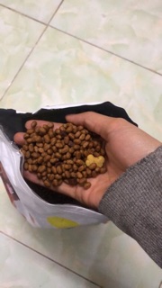 Thức ăn cho thú cưng teppy